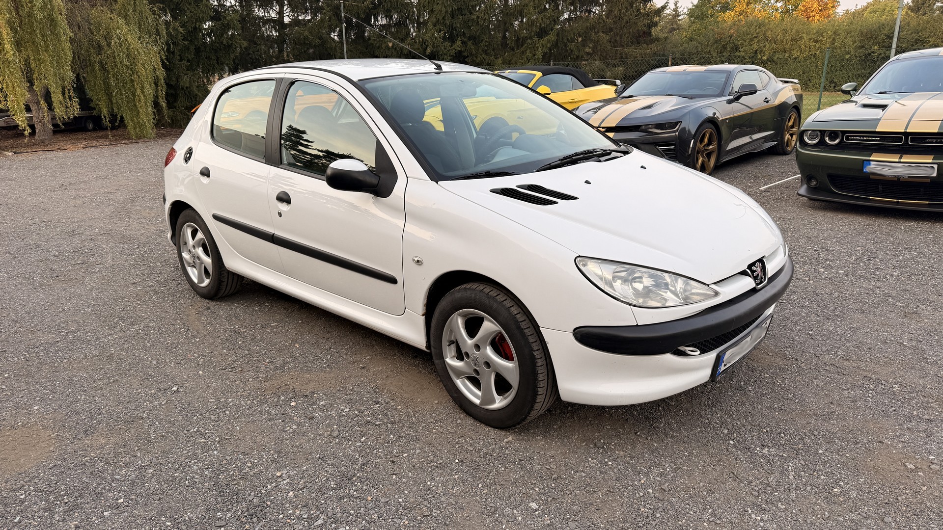 Peugeot 206 1.4i 55kW